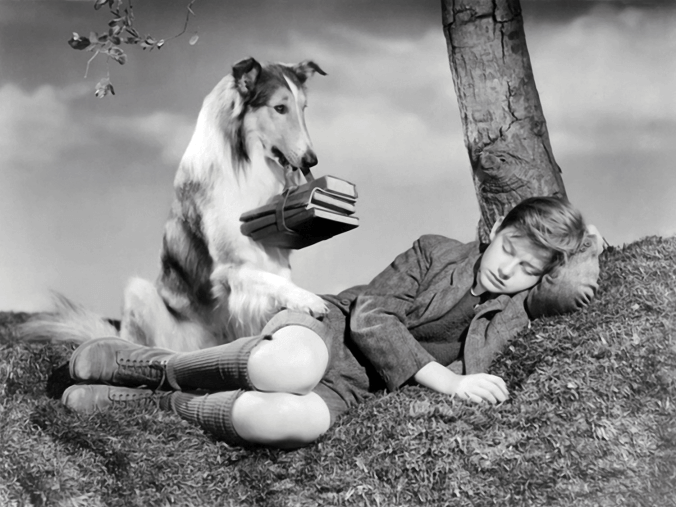 Lassie – A Força do Coração