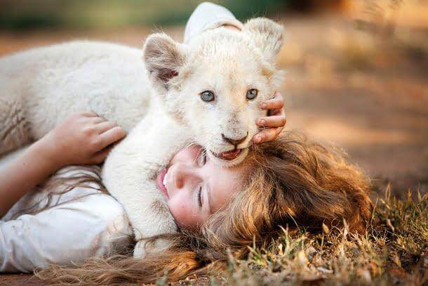Filmes com animais: A Menina e o Leão