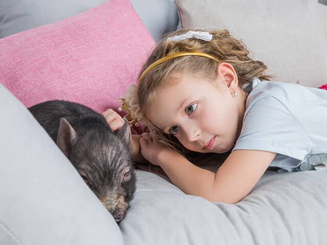 criança menina deitada ao lado de um porquinho